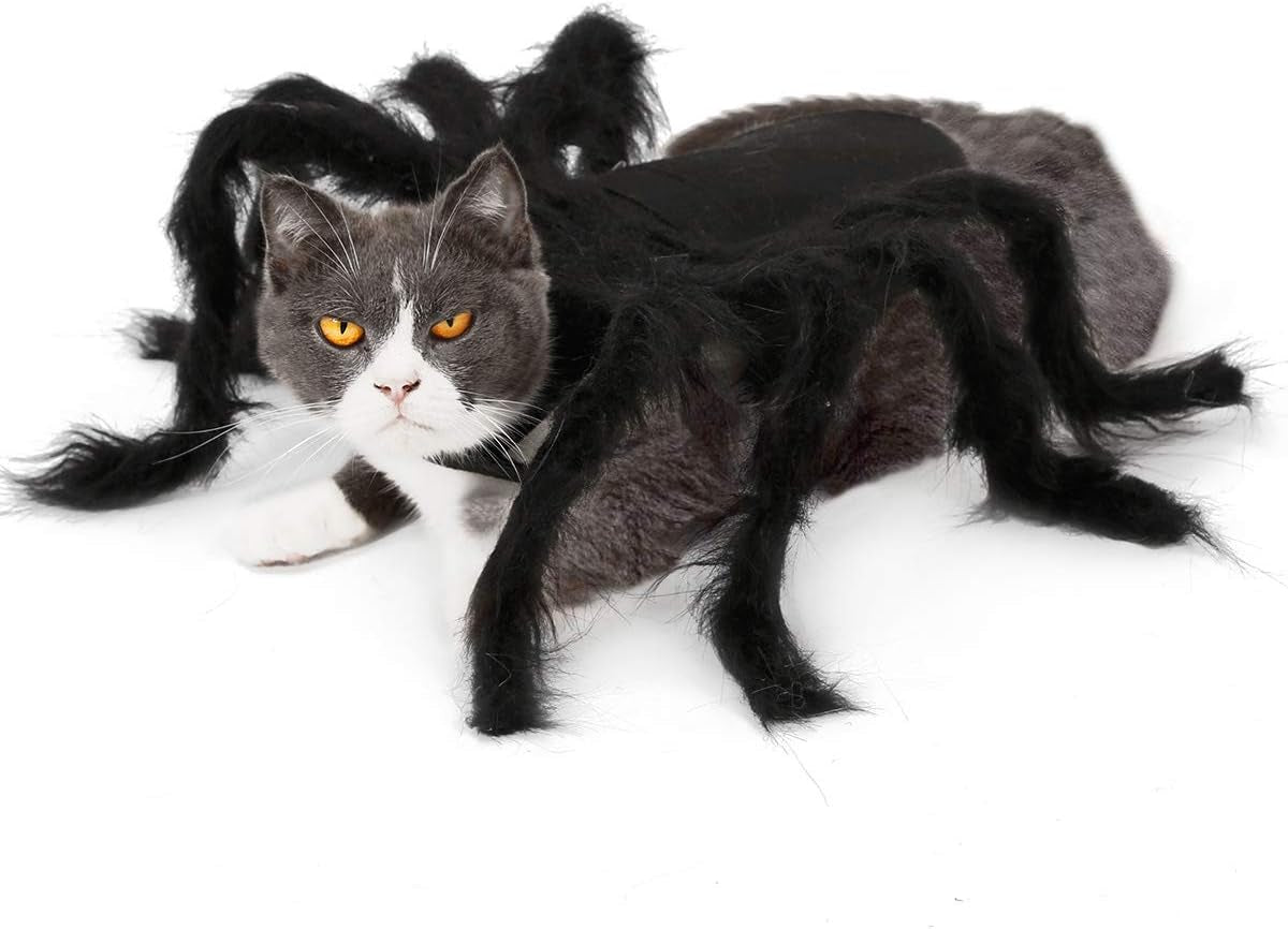 Halloween Dogs Cats Costume Spider Halloween Pets Accessories Decoration for Dogs Puppy Cats Halloween Cosplay Costumes for Cats and Dogs