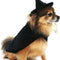 Halloween Witch Cape and Hat Dog Costume (Medium)