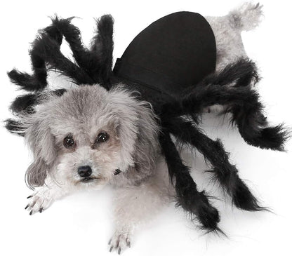 Halloween Dogs Cats Costume Spider Halloween Pets Accessories Decoration for Dogs Puppy Cats Halloween Cosplay Costumes for Cats and Dogs