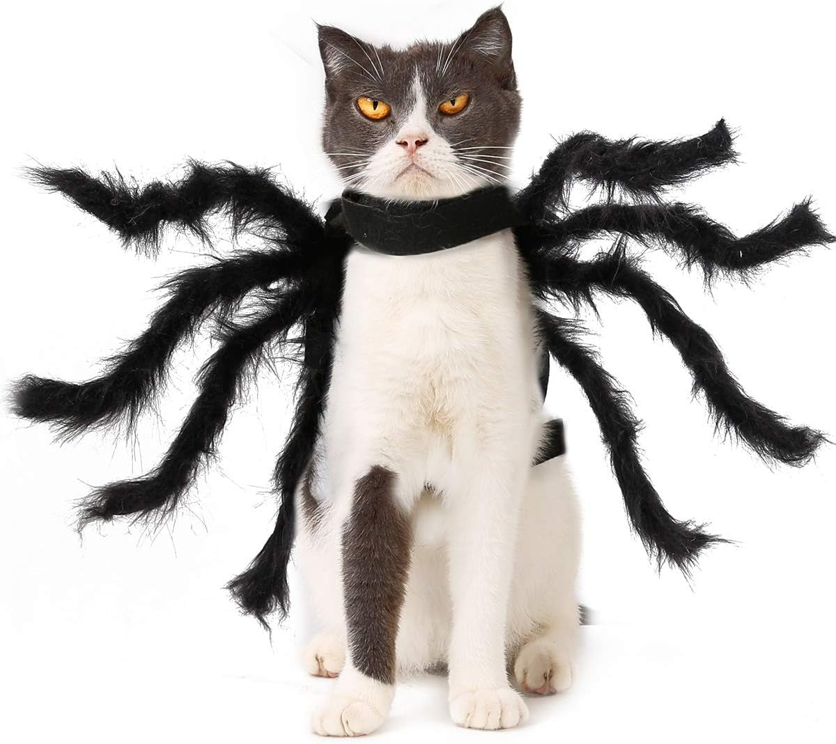 Halloween Dogs Cats Costume Spider Halloween Pets Accessories Decoration for Dogs Puppy Cats Halloween Cosplay Costumes for Cats and Dogs