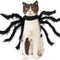 Halloween Dogs Cats Costume Spider Halloween Pets Accessories Decoration for Dogs Puppy Cats Halloween Cosplay Costumes for Cats and Dogs