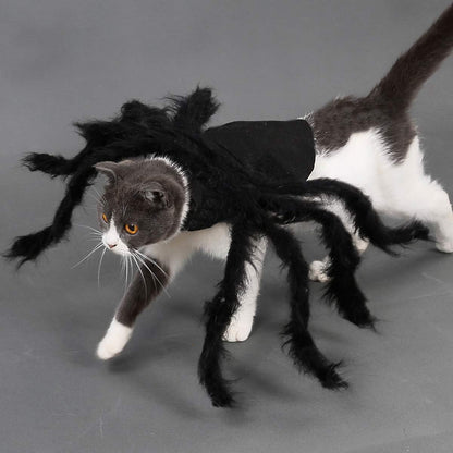 Halloween Dogs Cats Costume Spider Halloween Pets Accessories Decoration for Dogs Puppy Cats Halloween Cosplay Costumes for Cats and Dogs